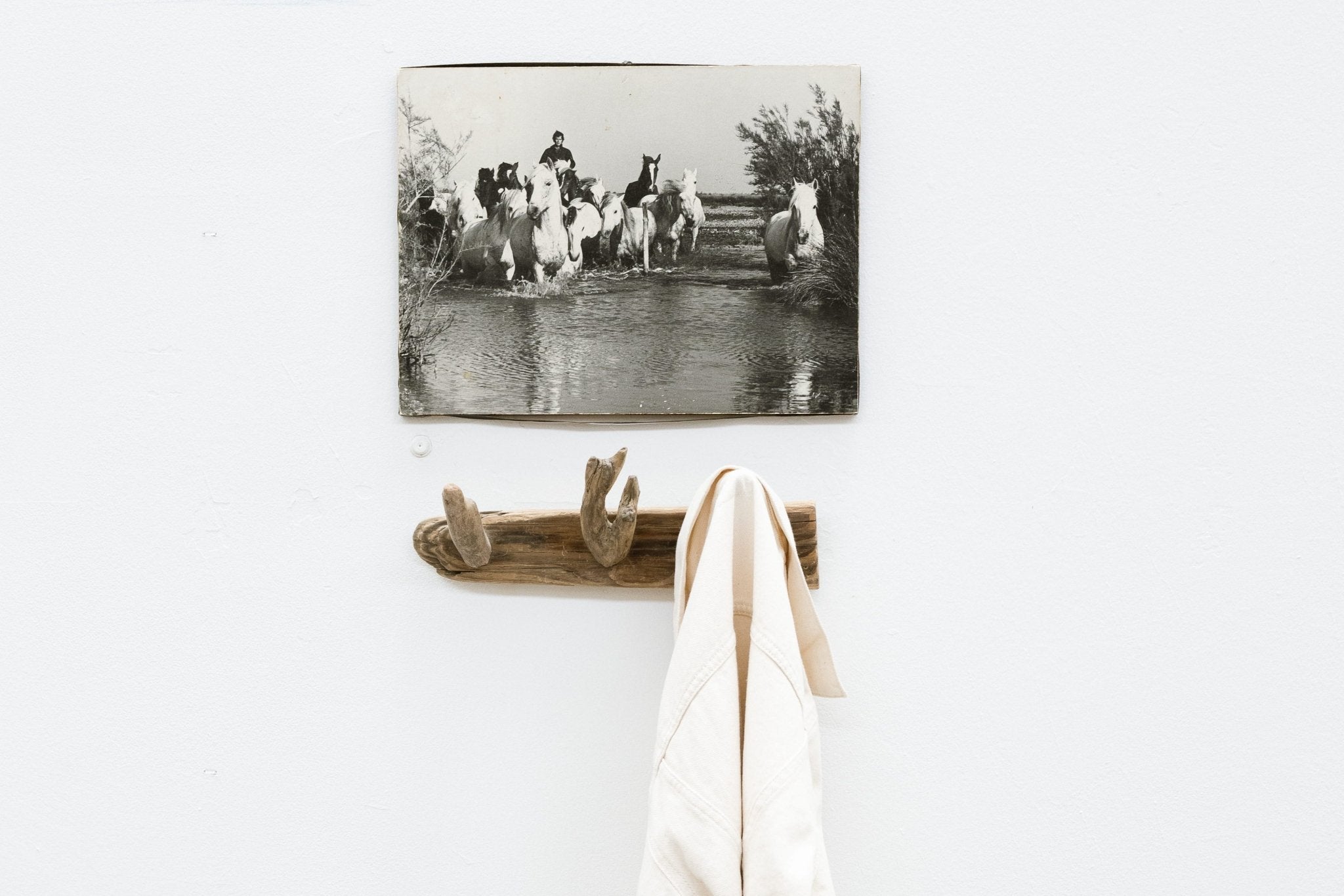 La Camargue, une terre où le temps se vit autrement - Ateliers de Nîmes